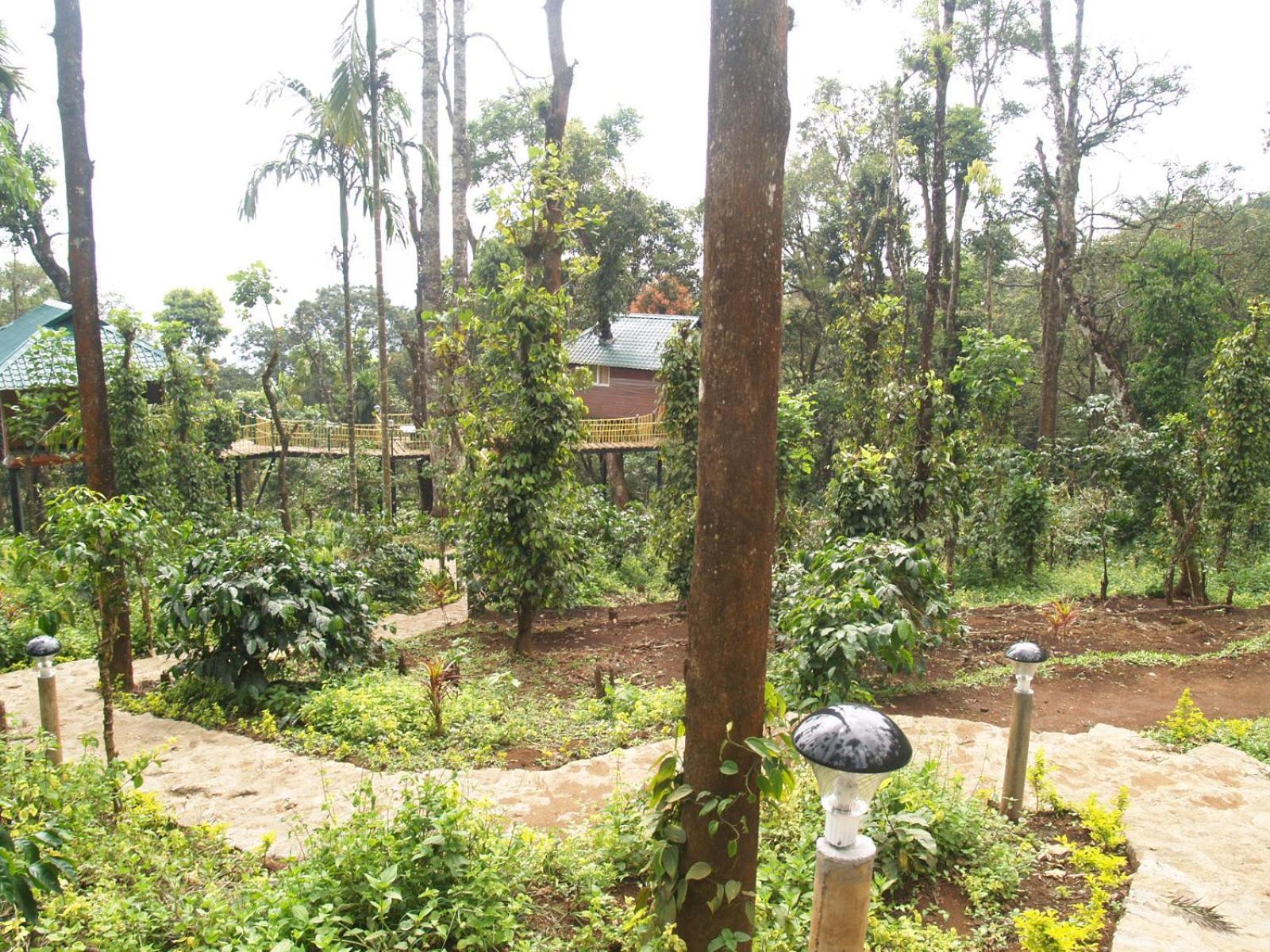 Sitaram Mountain Retreat Hotell Munnar Exteriör bild